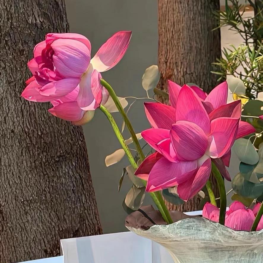 手指操锻炼