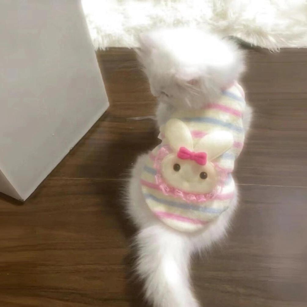 Suki