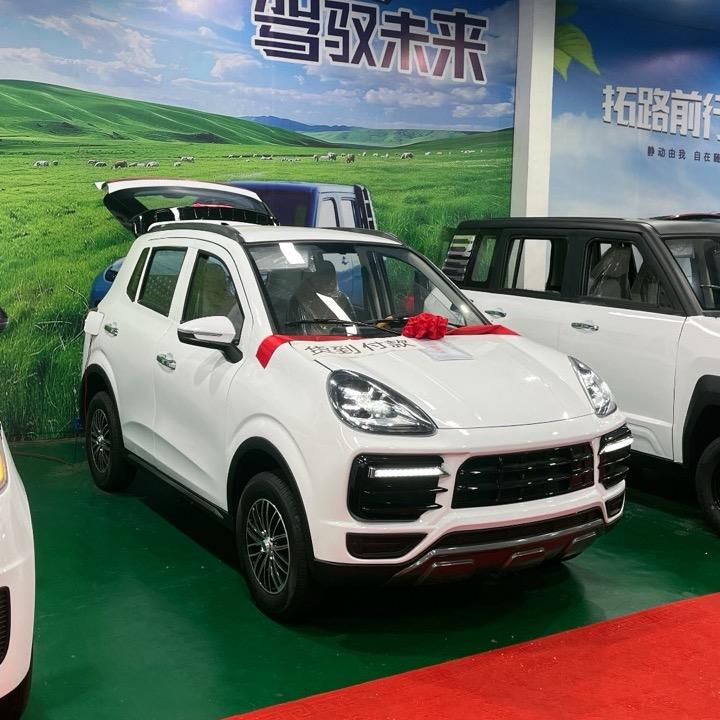 新能源四轮代步车梦梦