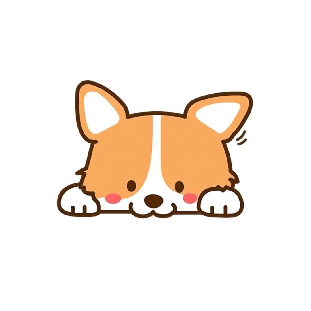 明星现场