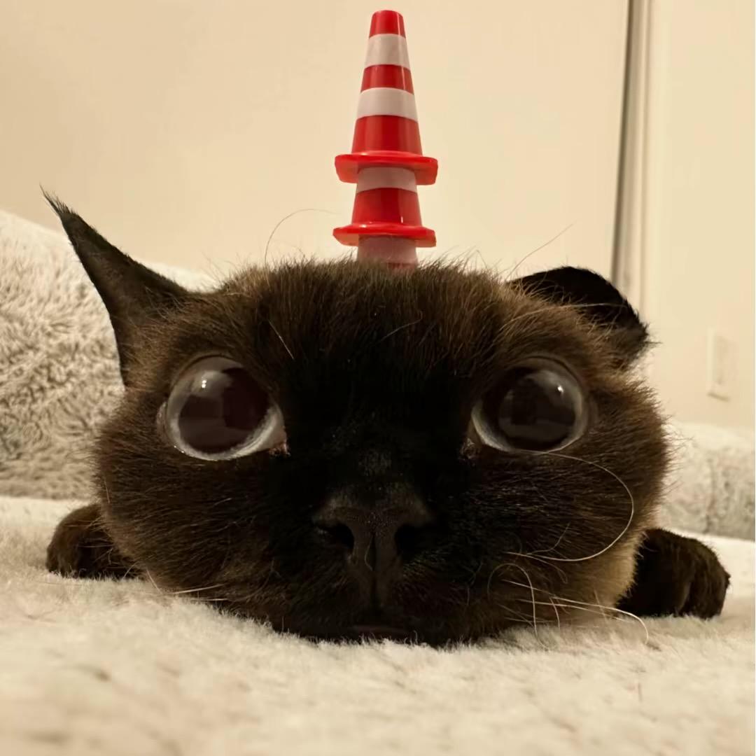 出了名的打男朋友