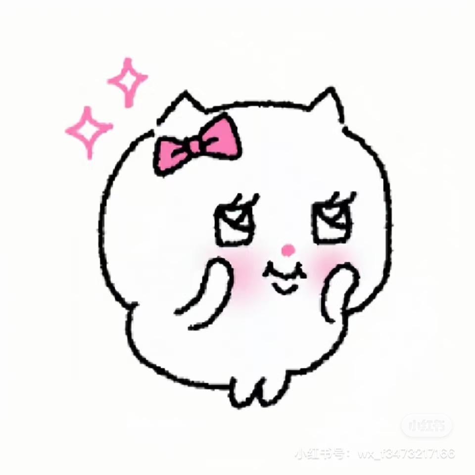 小熊猫o