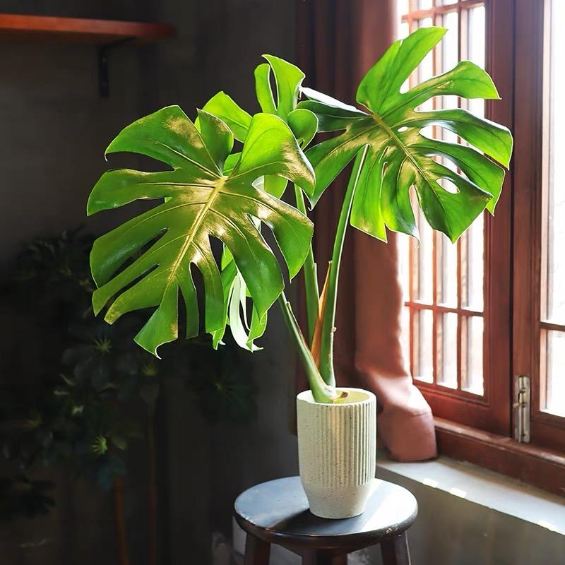 花海寻梦园艺