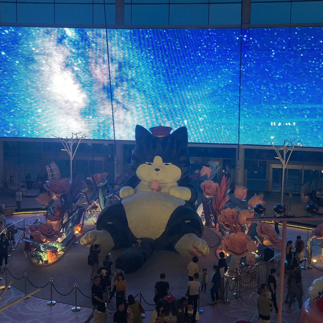 酒酿团团小卖部