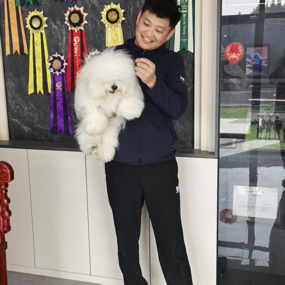 百佳长毛小腊肠犬舍