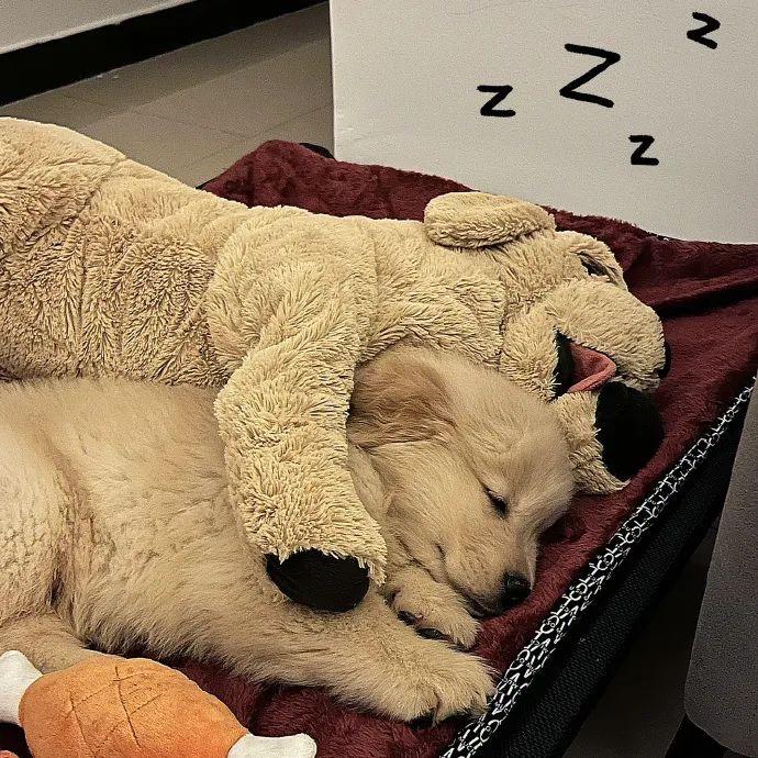 我怎么都是余光🐾