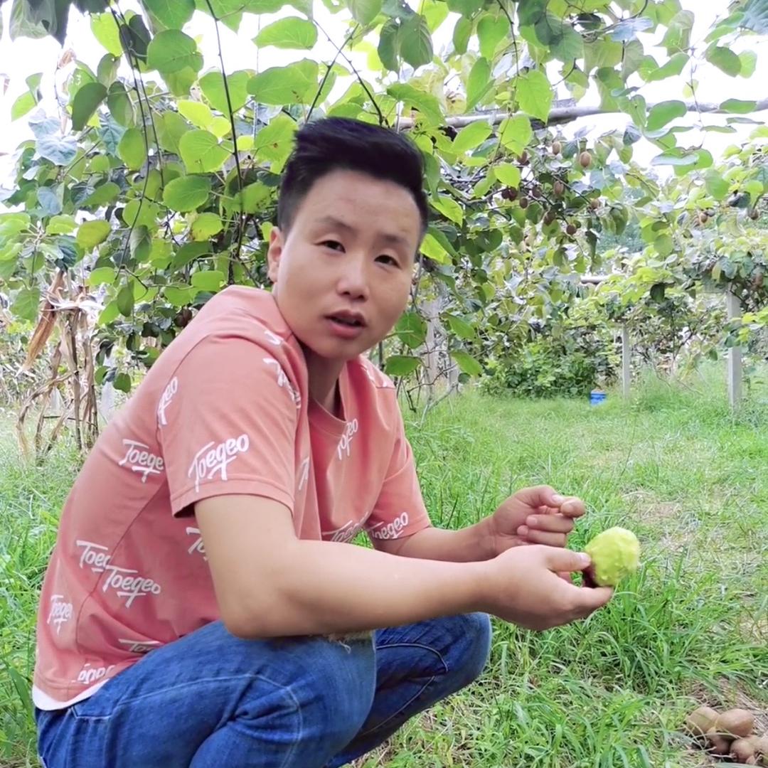 娃娃鱼优质果品甄选