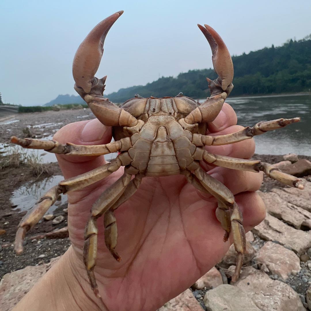 林小猫宋日白11月6号7号婚礼摄影幺哥