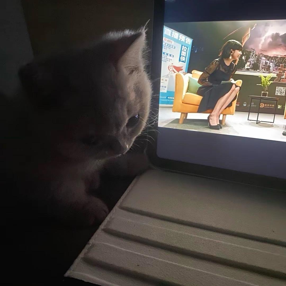 辉辉（赚钱中）