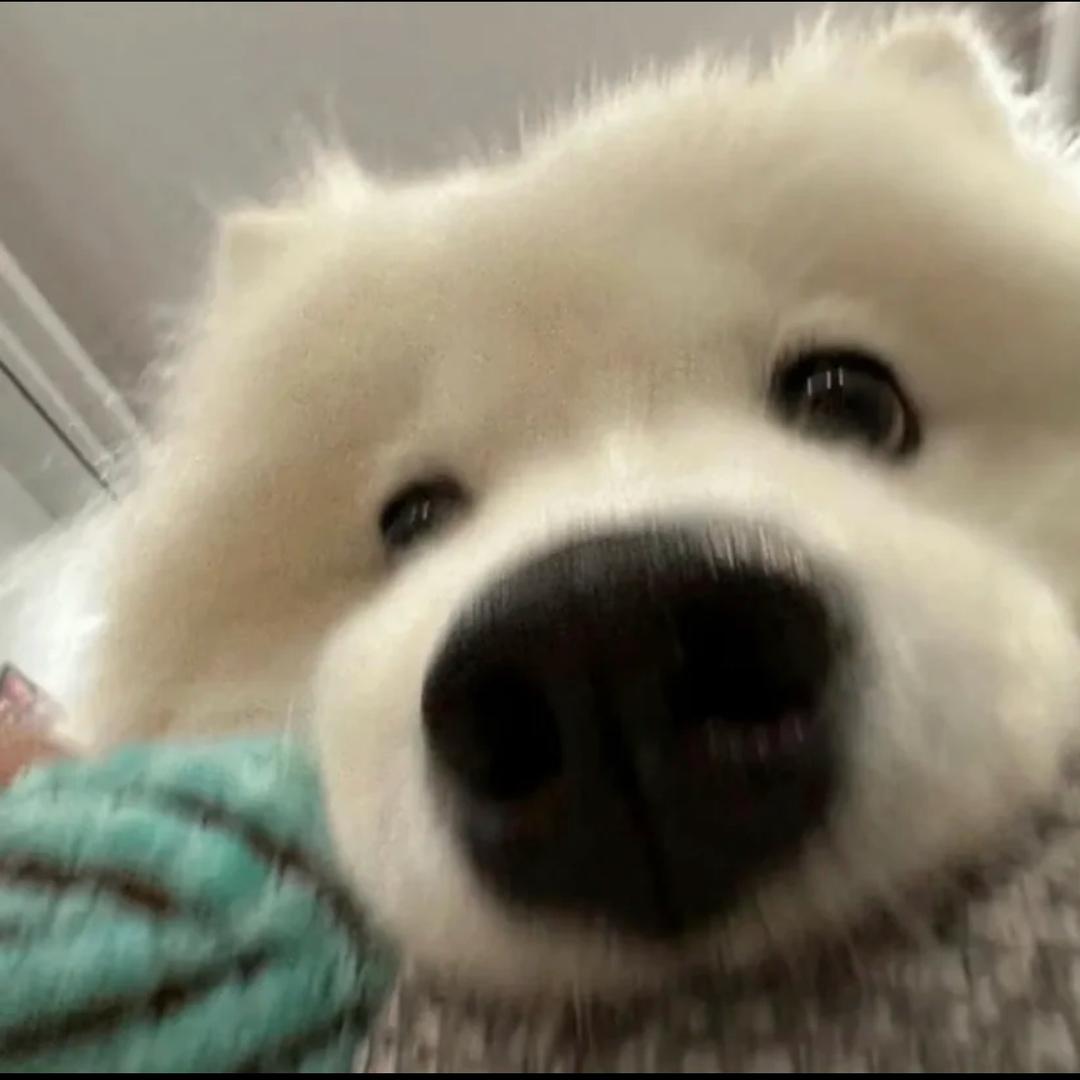 小呆大王