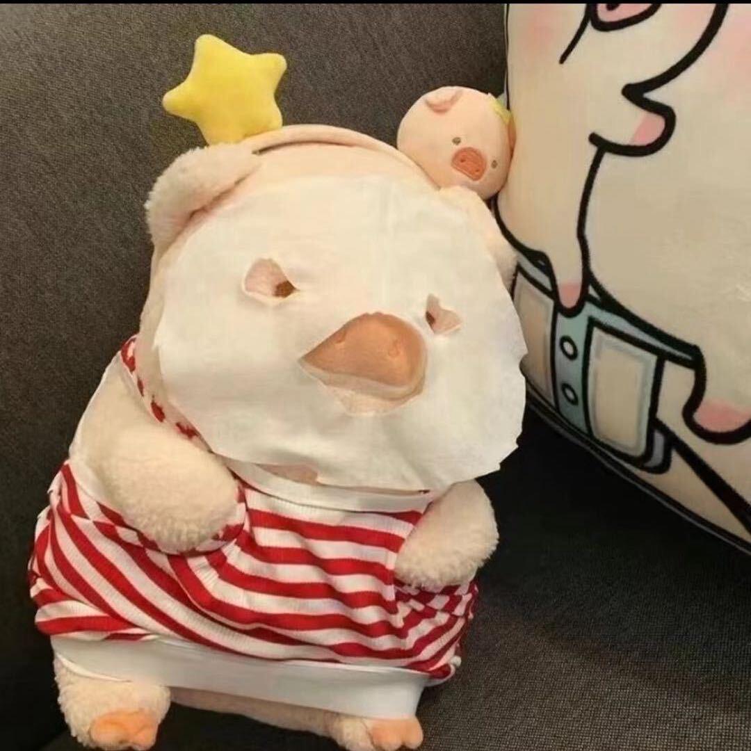 珠珠侠