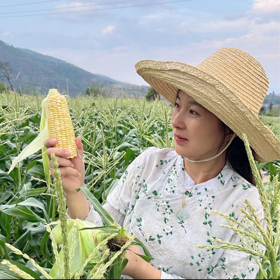 车评小雨