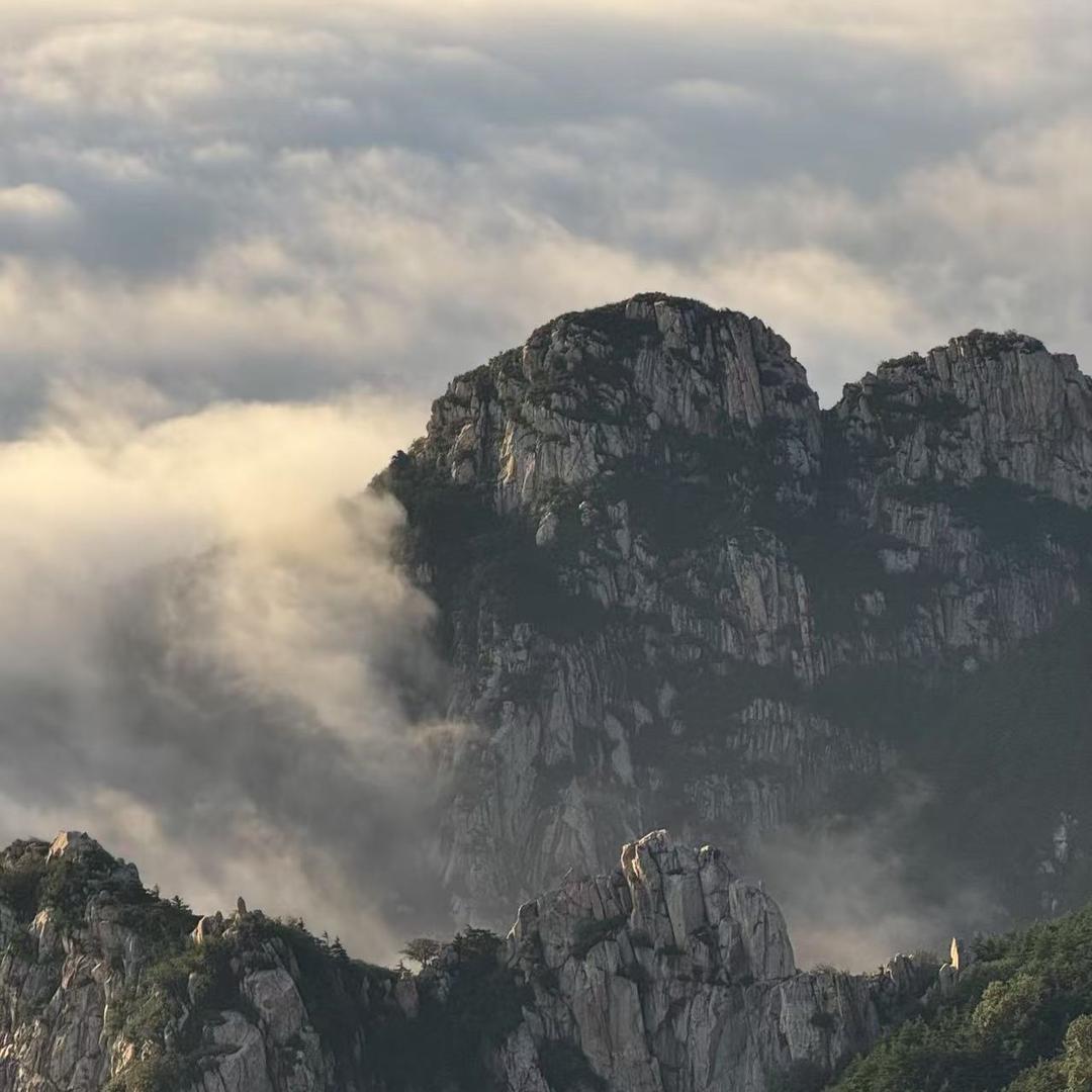 泰山旅游 咨询