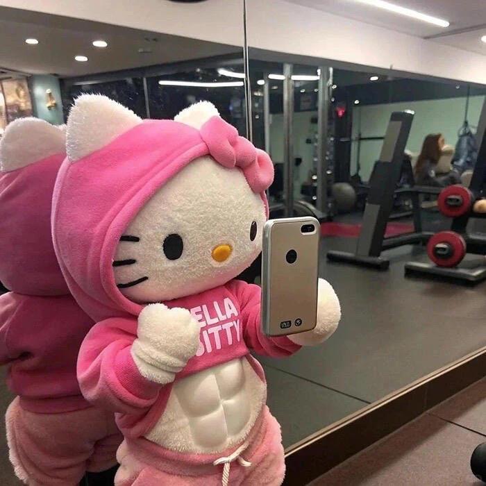 一只奶酪猫