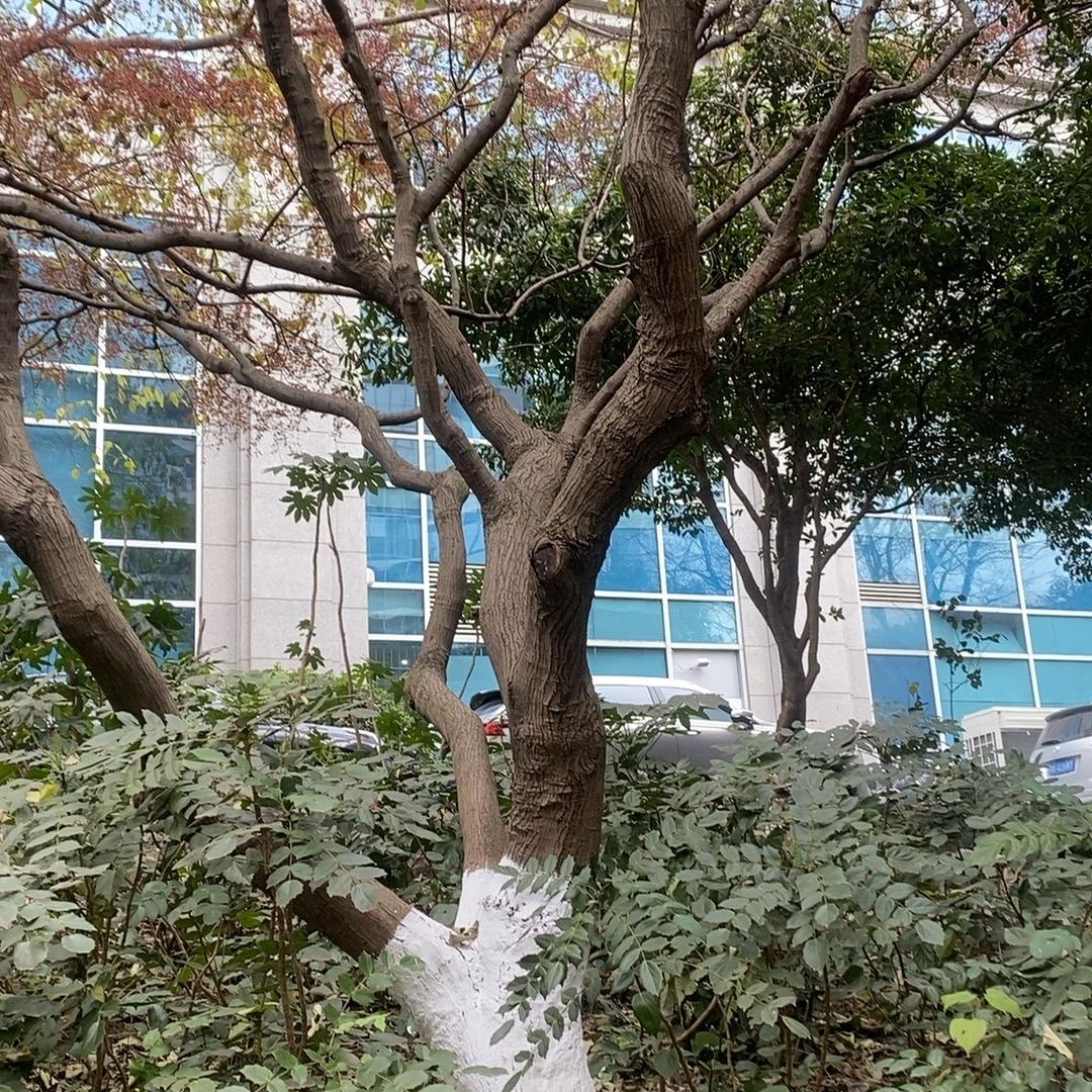 用户4510420890211