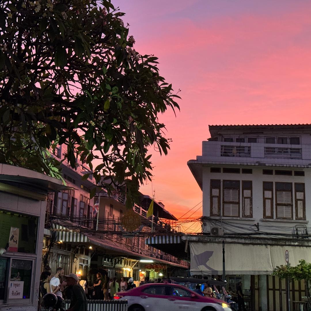 是懒懒呀🌱的头像