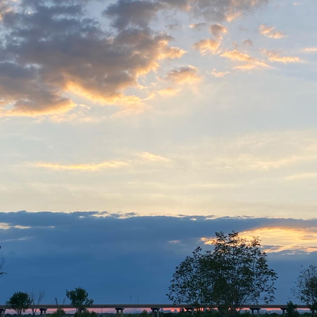 数字人生（有关必回）