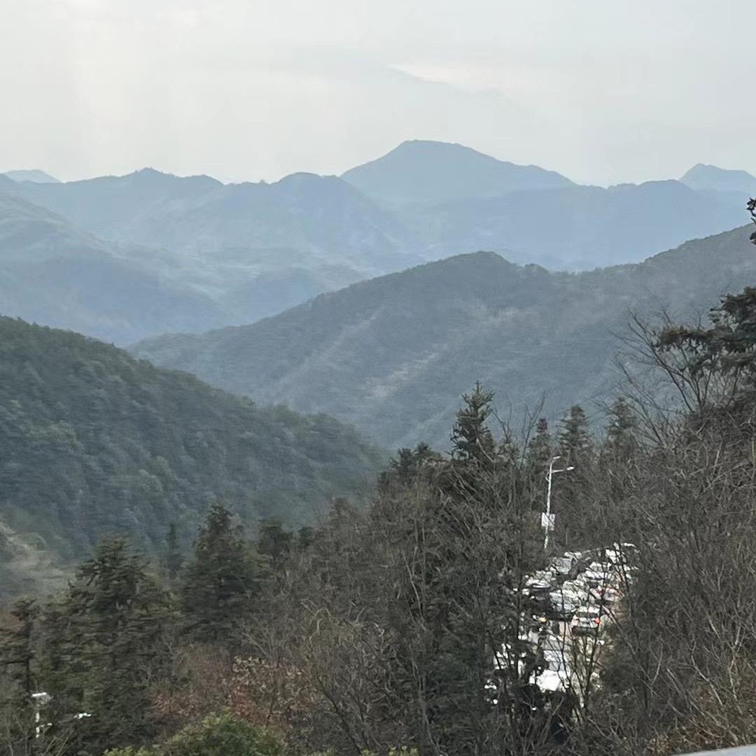 万变不离其钟