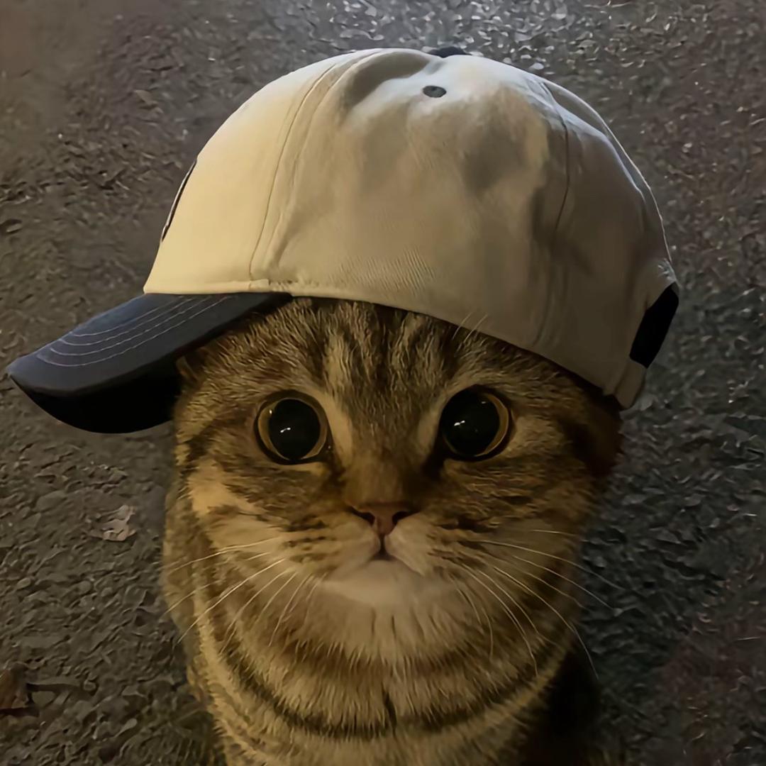 我爱吃无骨鸡爪     ㅤ  ㅤ