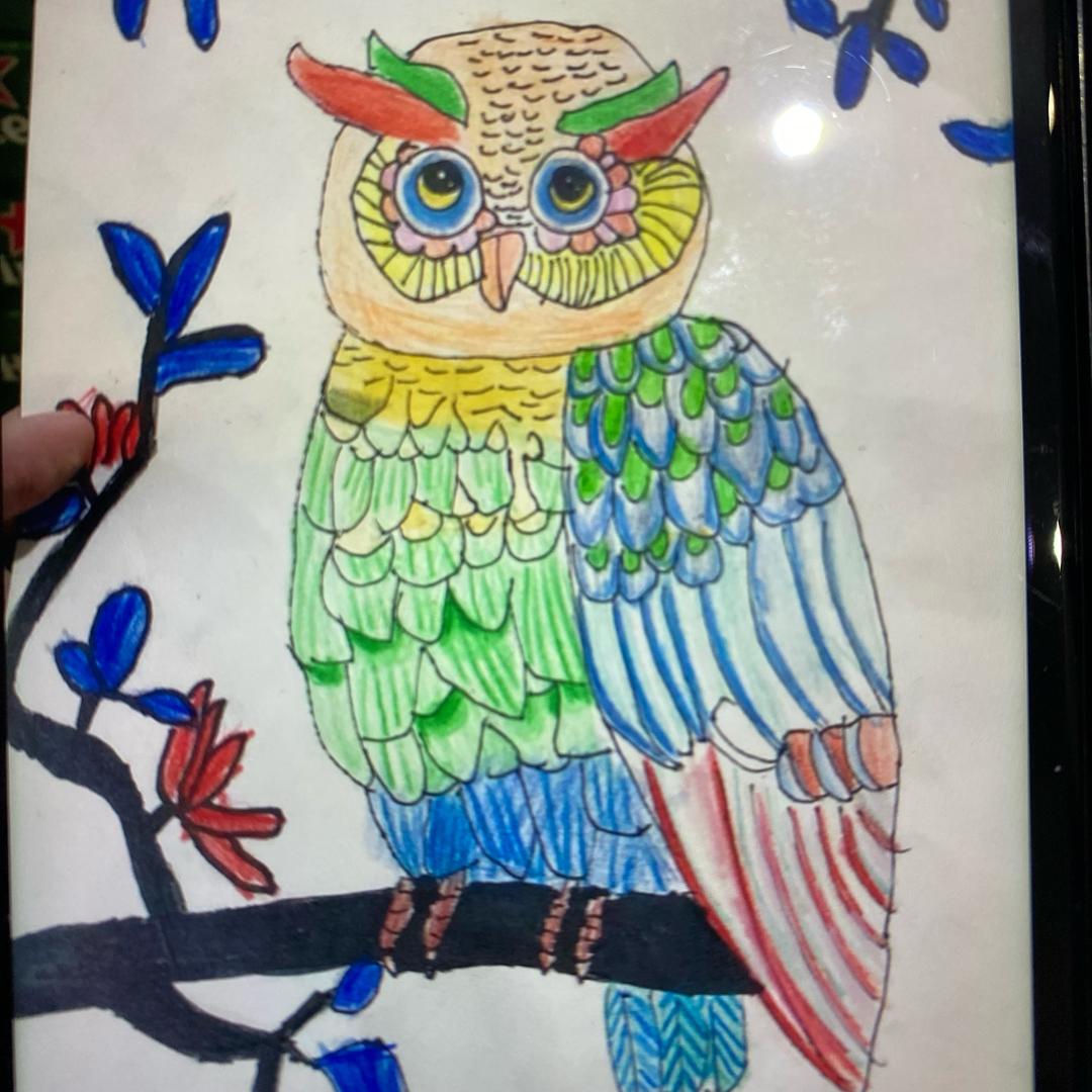 广州机械师啊丽