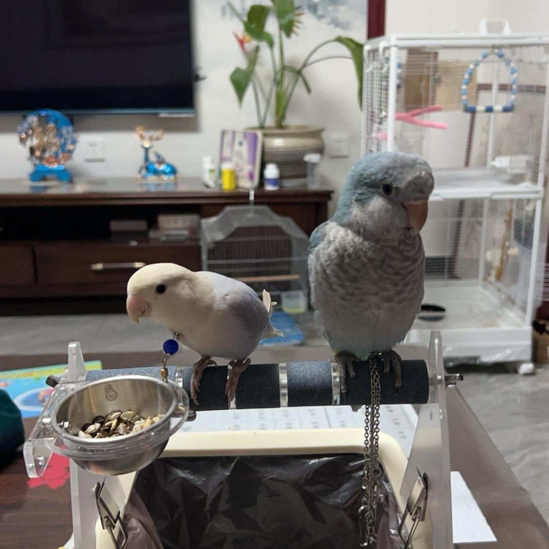 问道一鸣