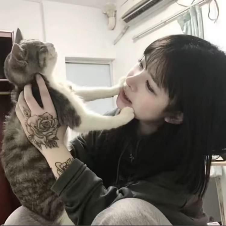 ᥫᩣ.