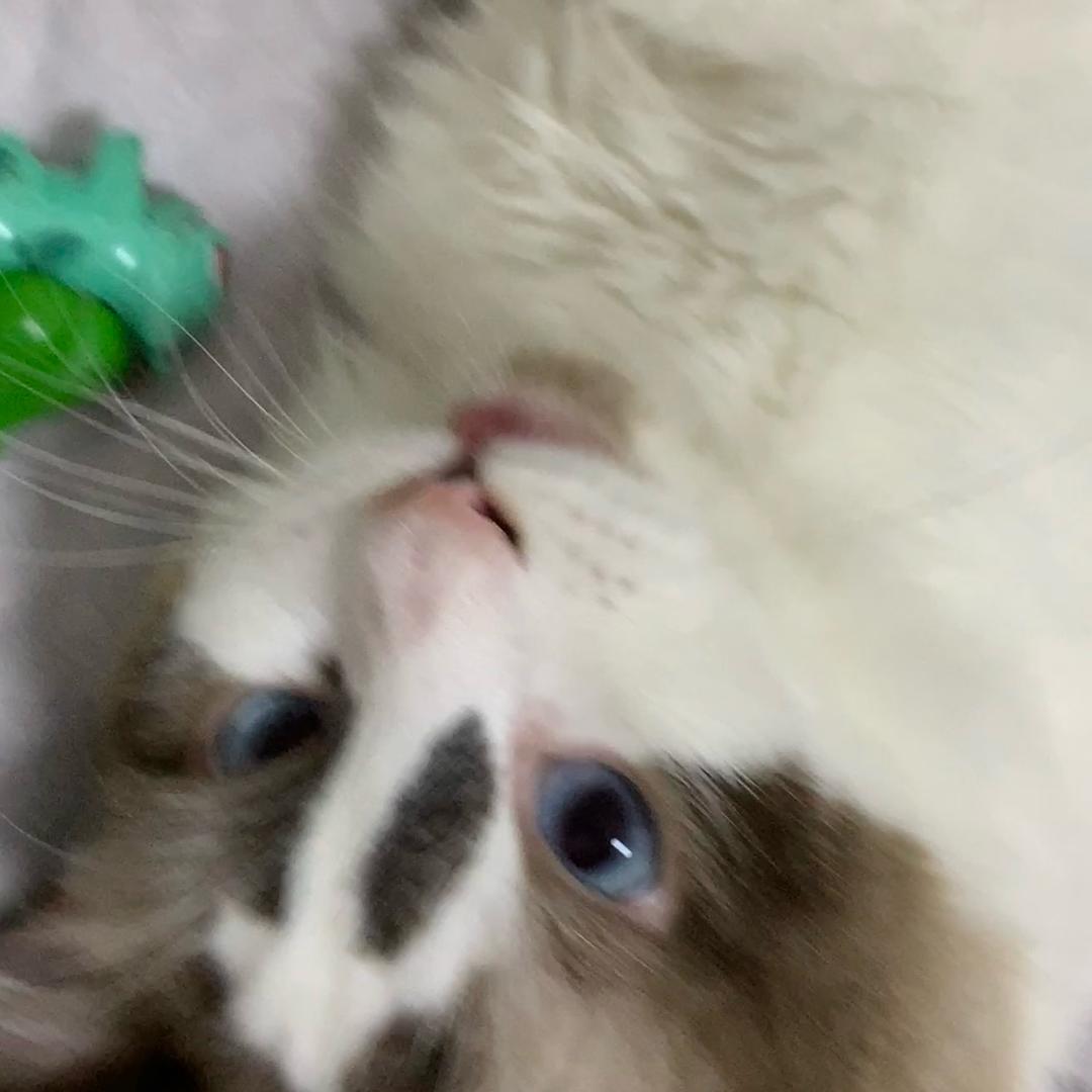 ziook