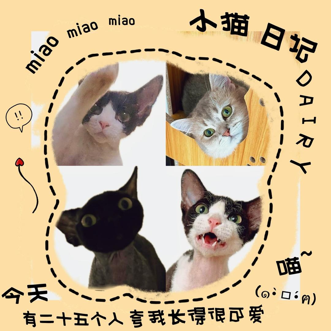 德莱文和她的猫友们
