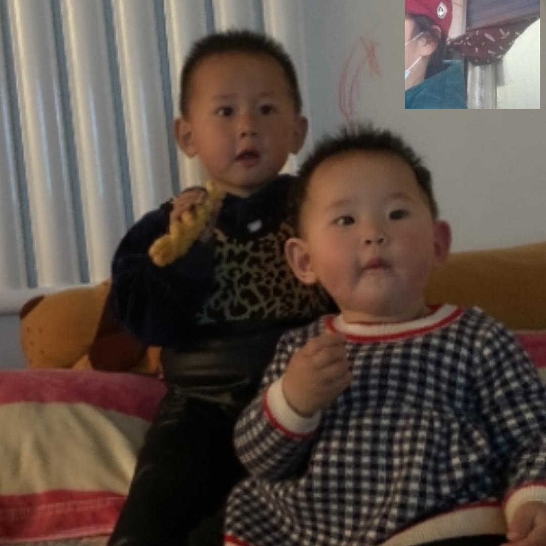 园园