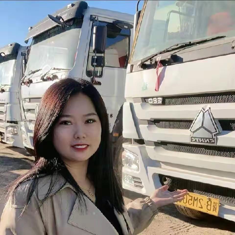 大唐王丽自卸车
