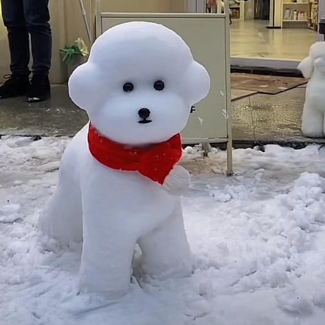 不知道/