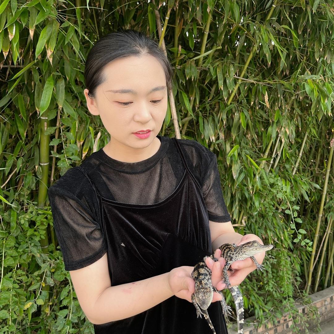 鳄鱼潭小李妮