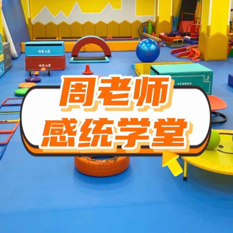 周老师•家庭感统训练陪跑