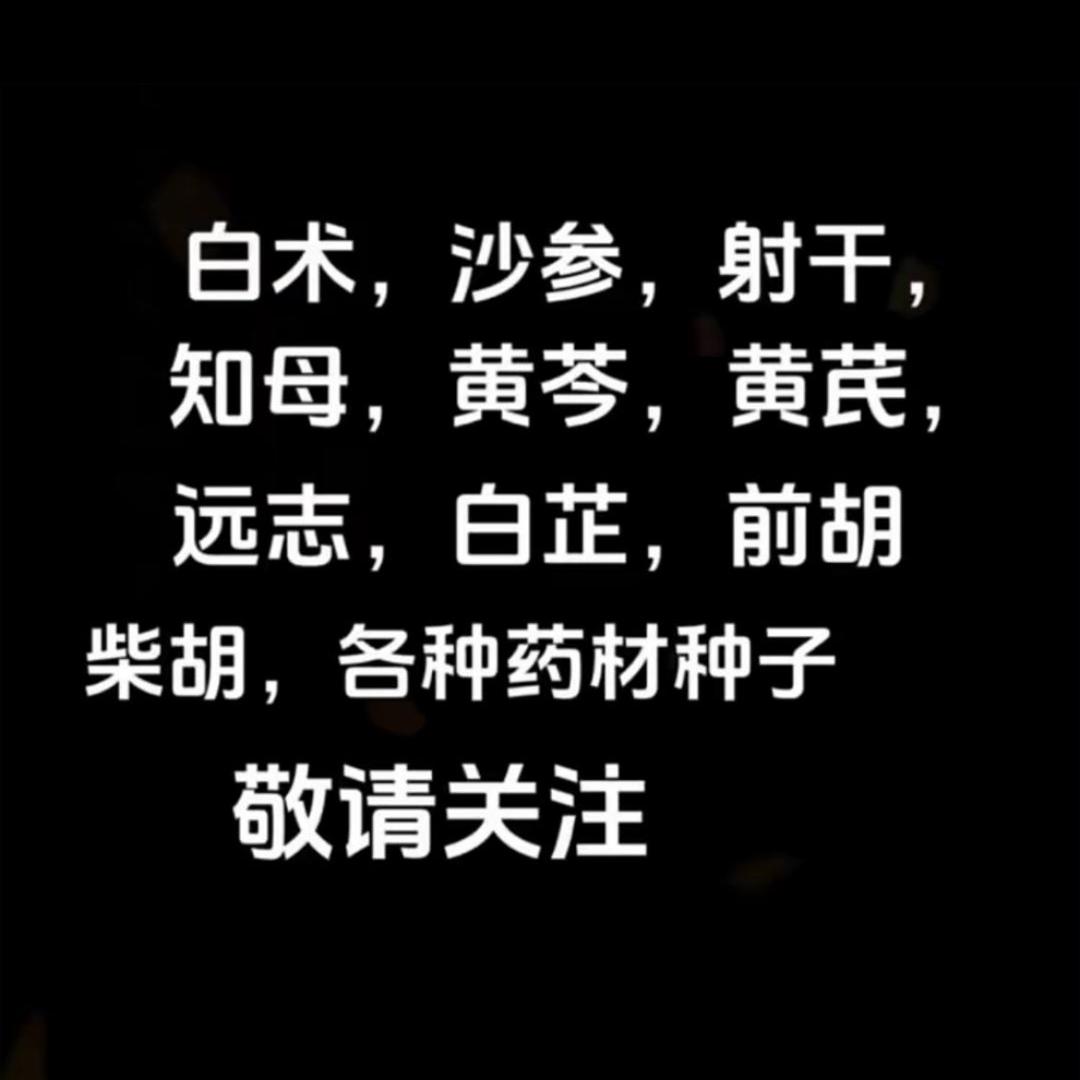 【董彦彬】安国市泰弘种子经营部