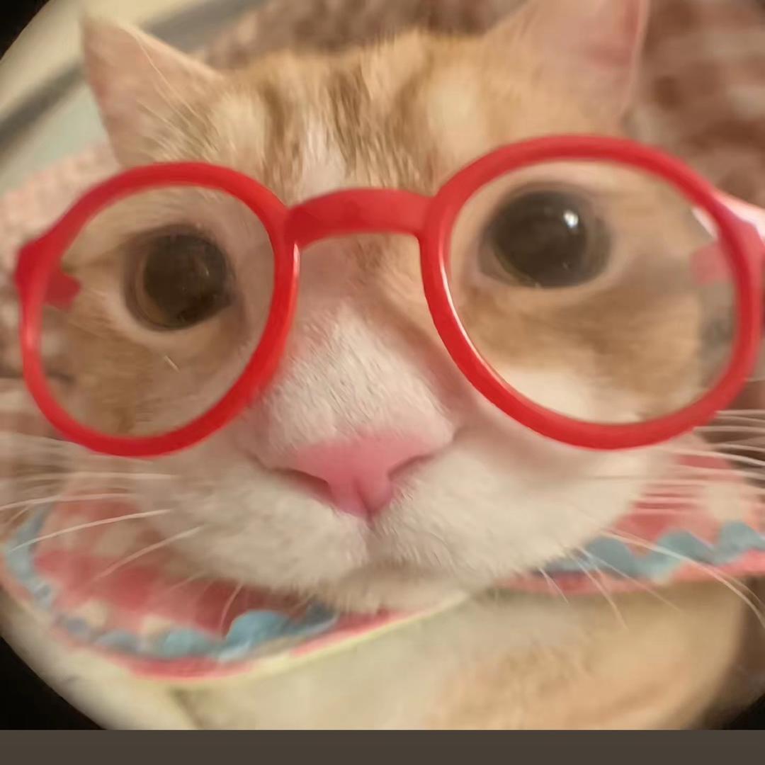 老公你说句话啊