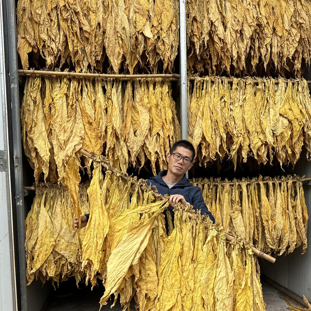 高老师讲烤烟宣传号