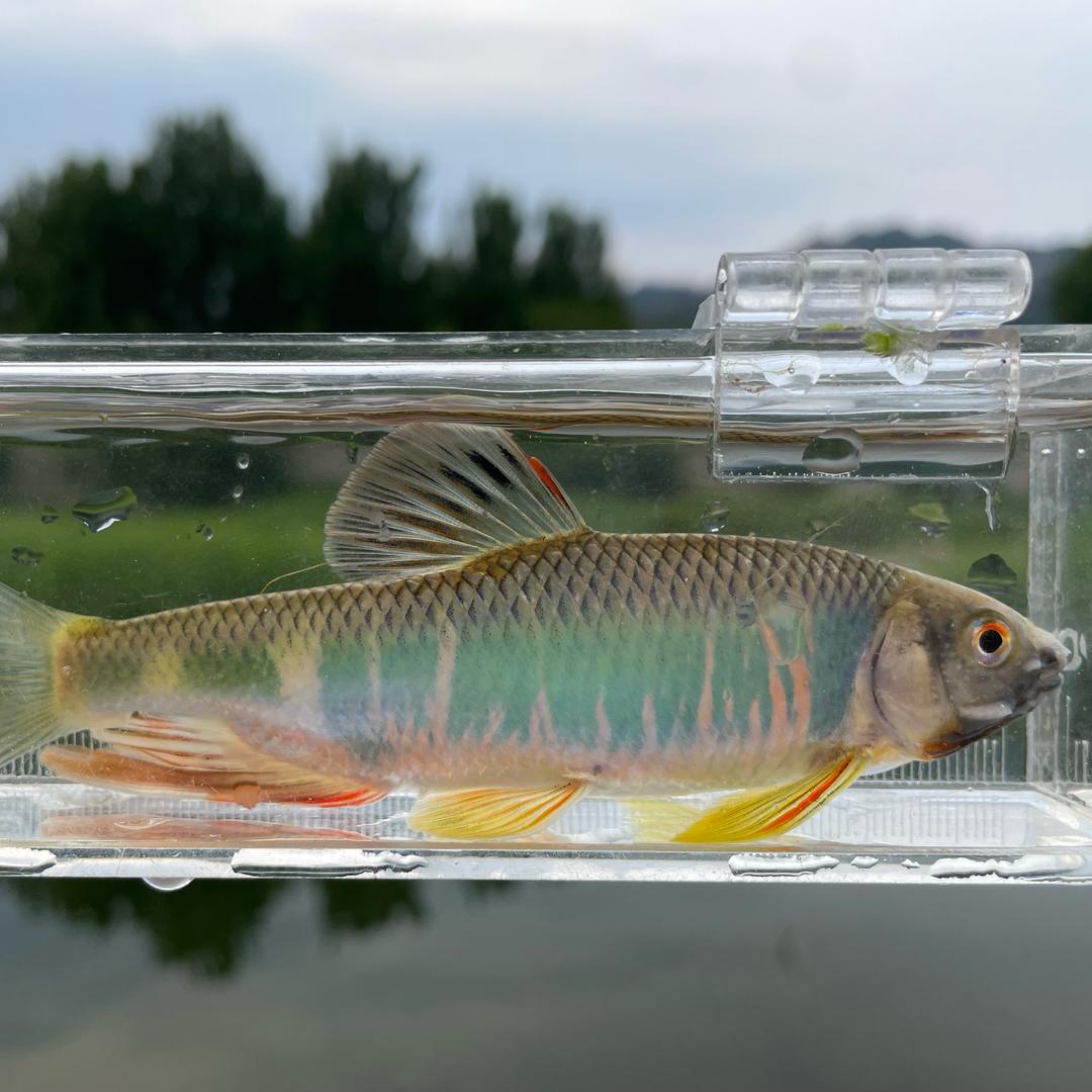 🌈山东大学签约钓手野王🐟