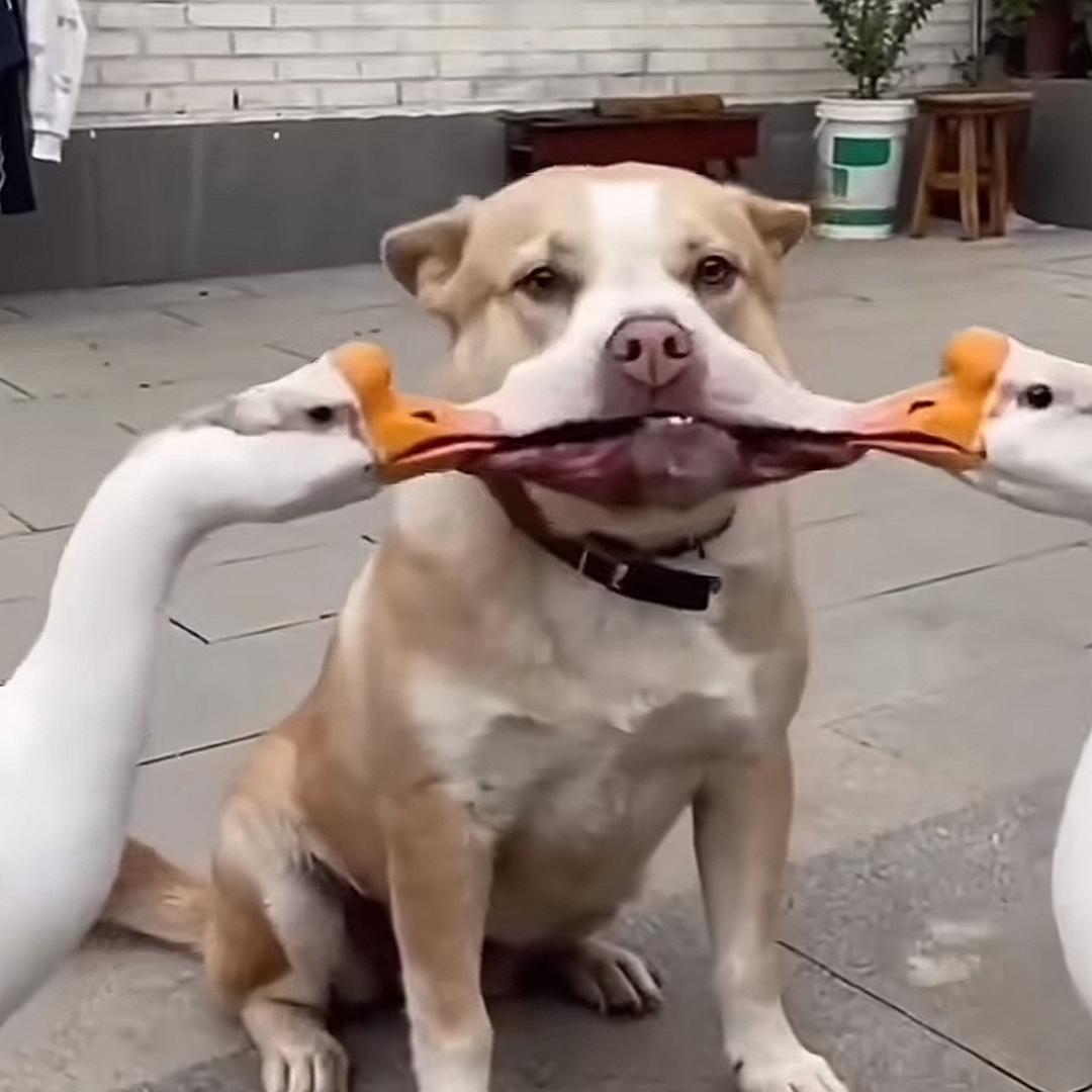 交朋友（涨粉中）