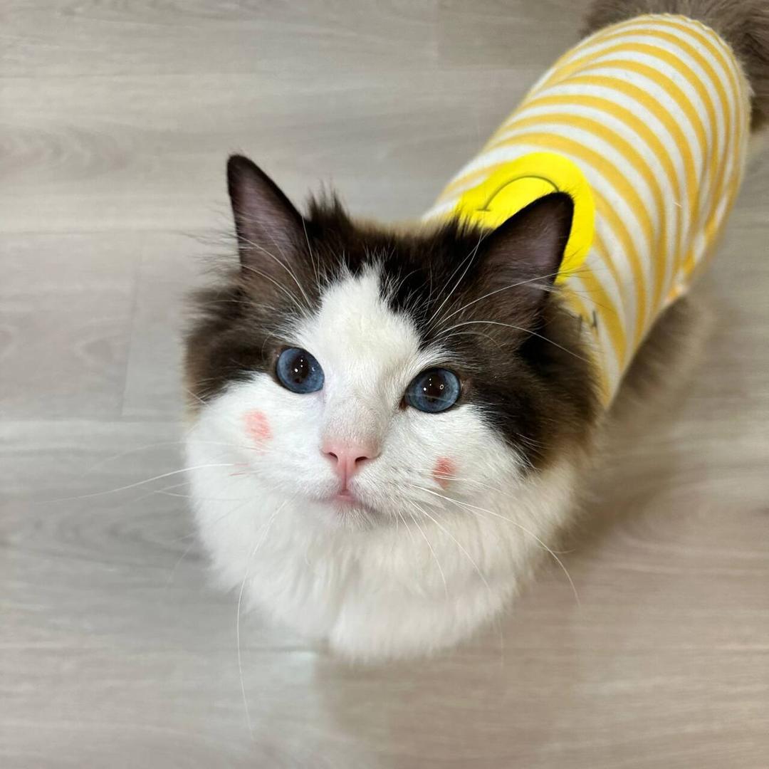 超小姐潮流女装店