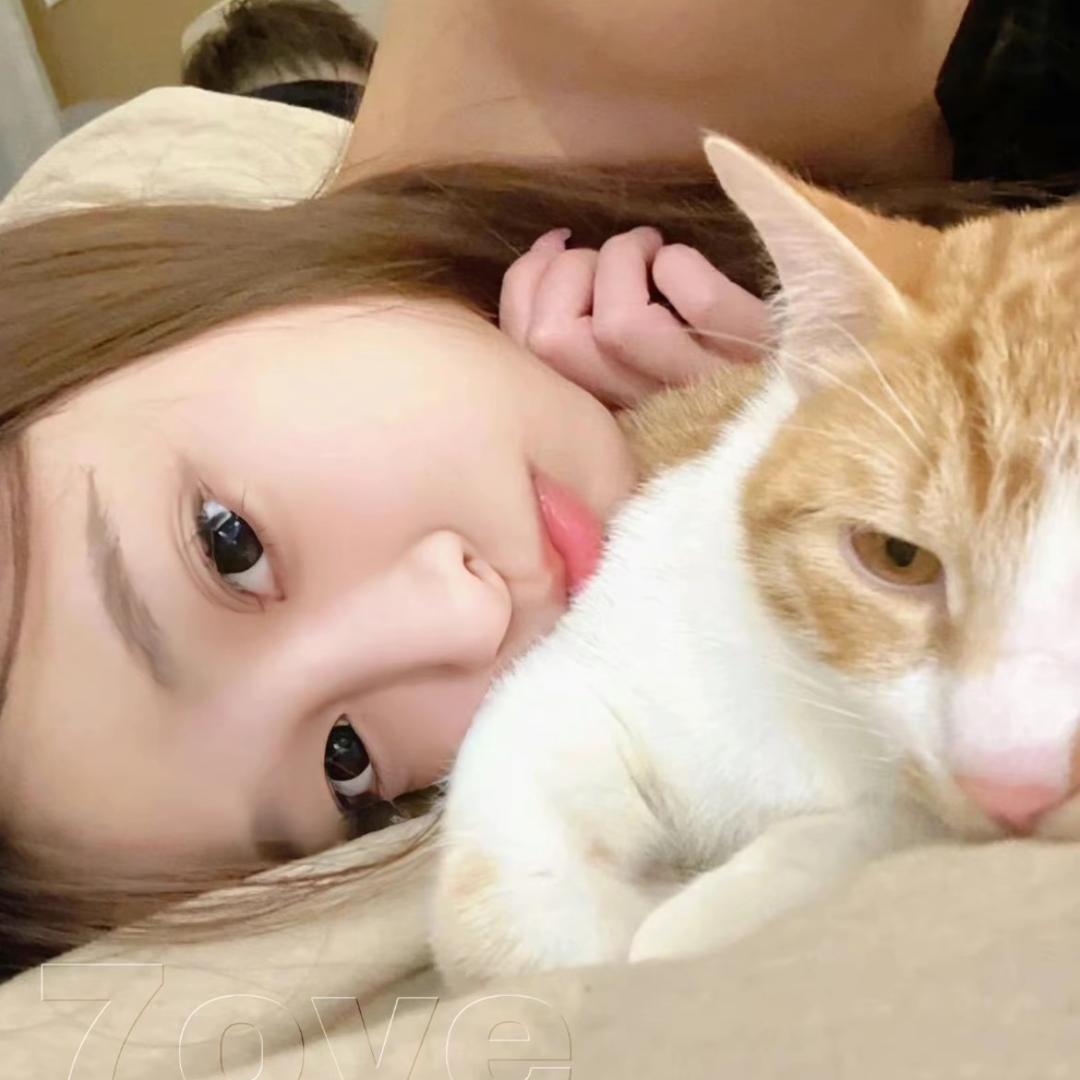 🐈、