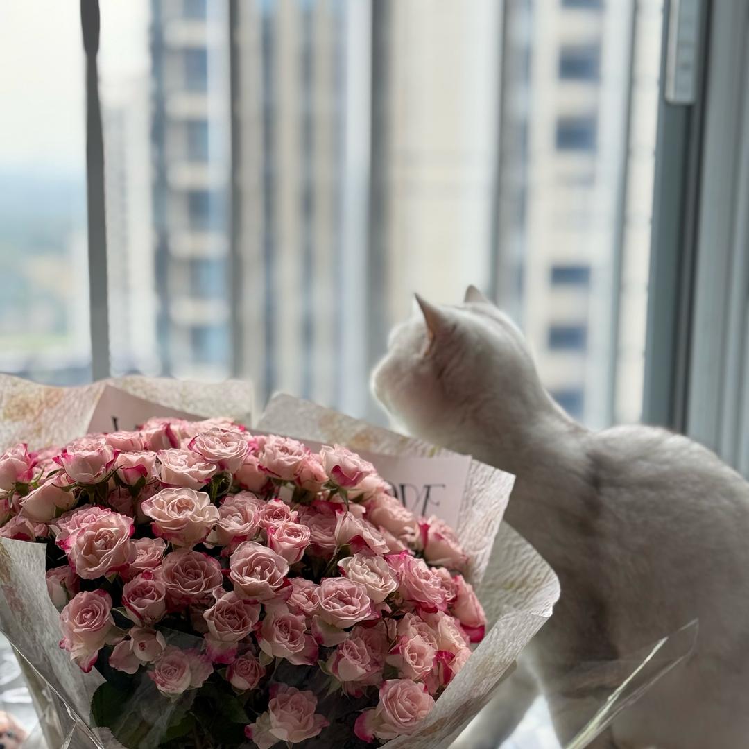 穆兰姐姐的日常❤️