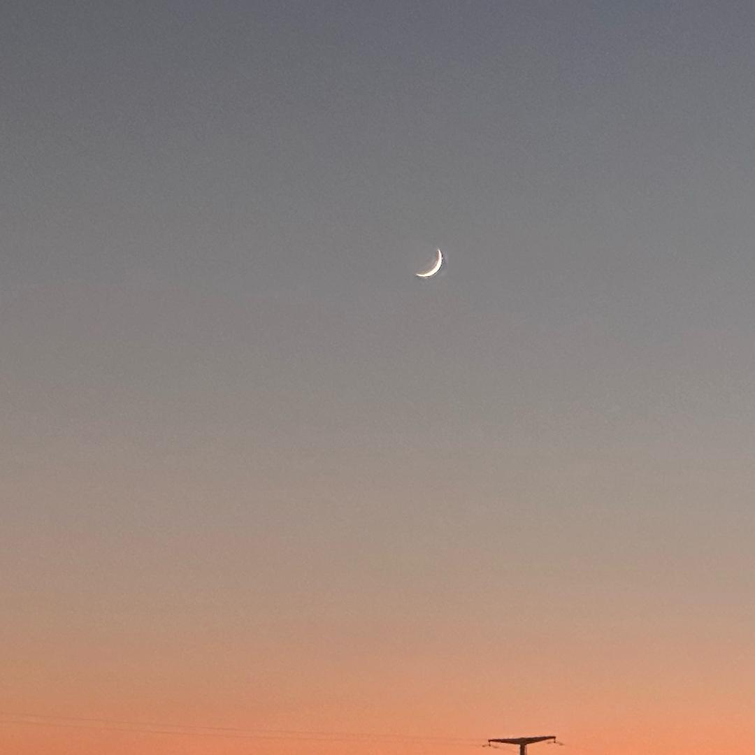 郭磊