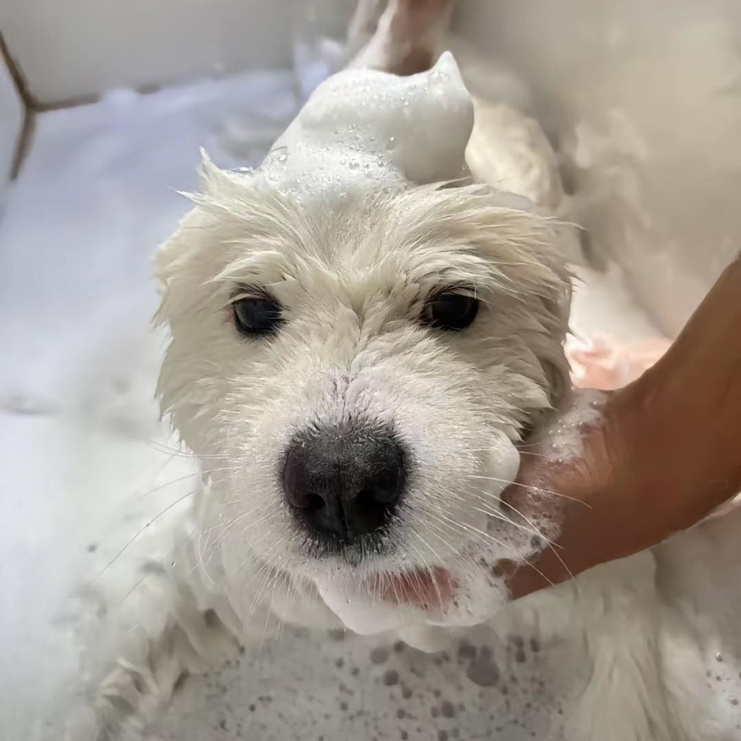 等.