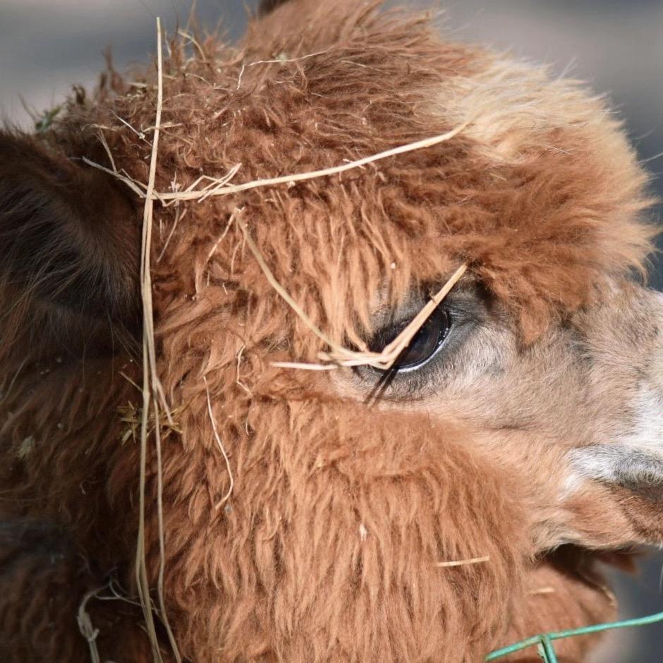 天空飘过一个屁