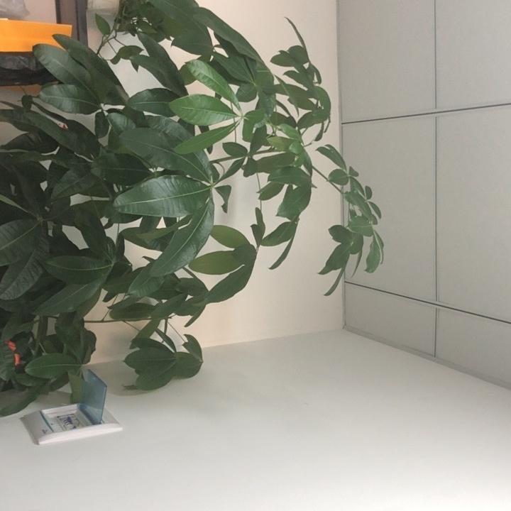 抖猫猫好物优选