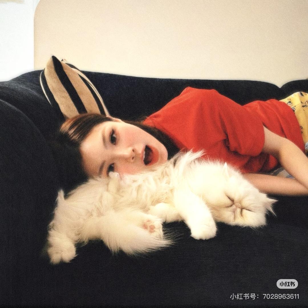 一粥迷糊八天💤