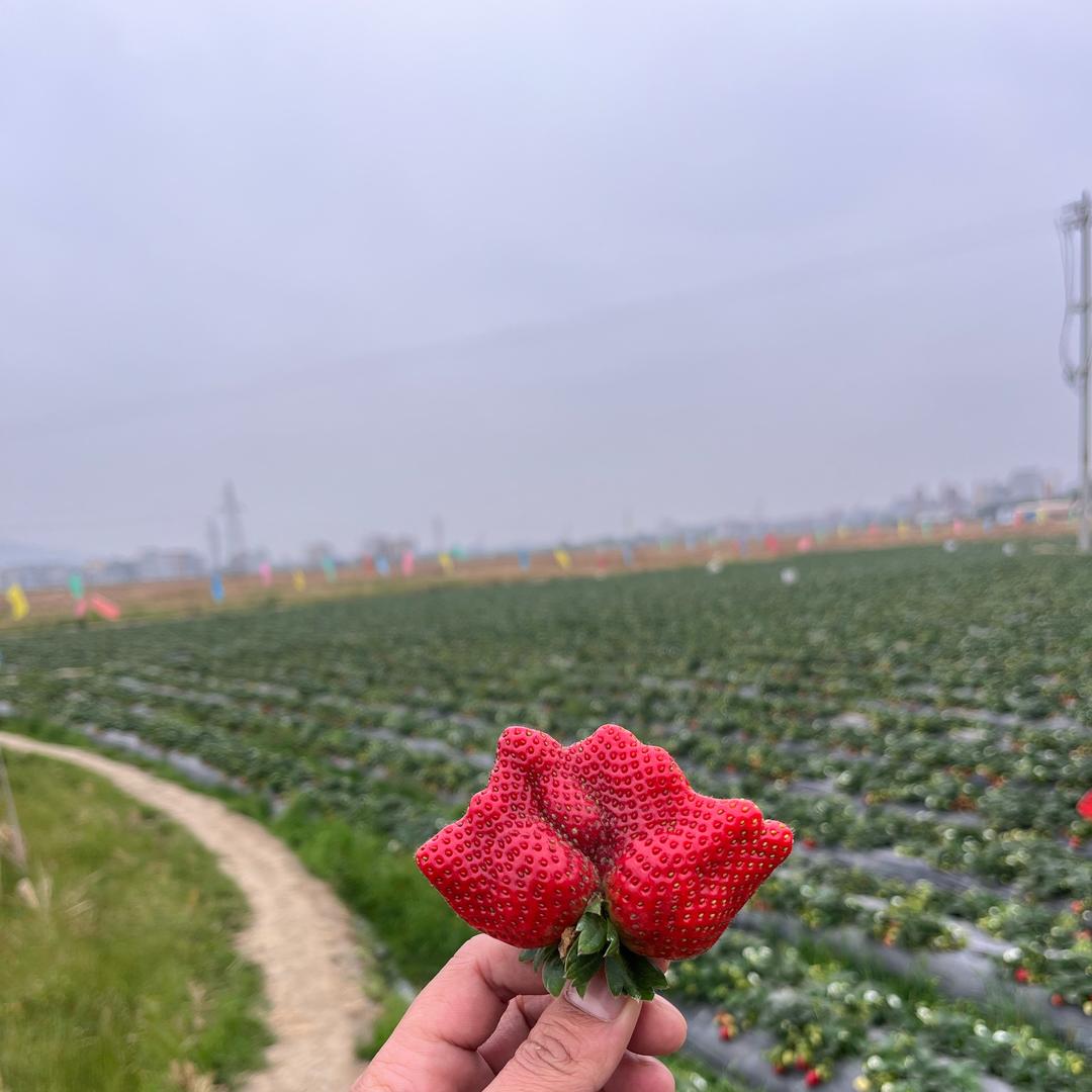 ૮₍ ˶•ᴗ•˶₎ა小福气°ʚ♡ɞ°