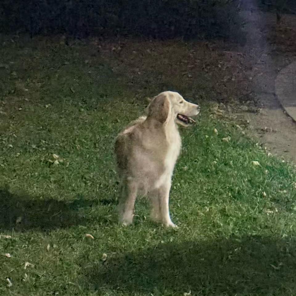 —