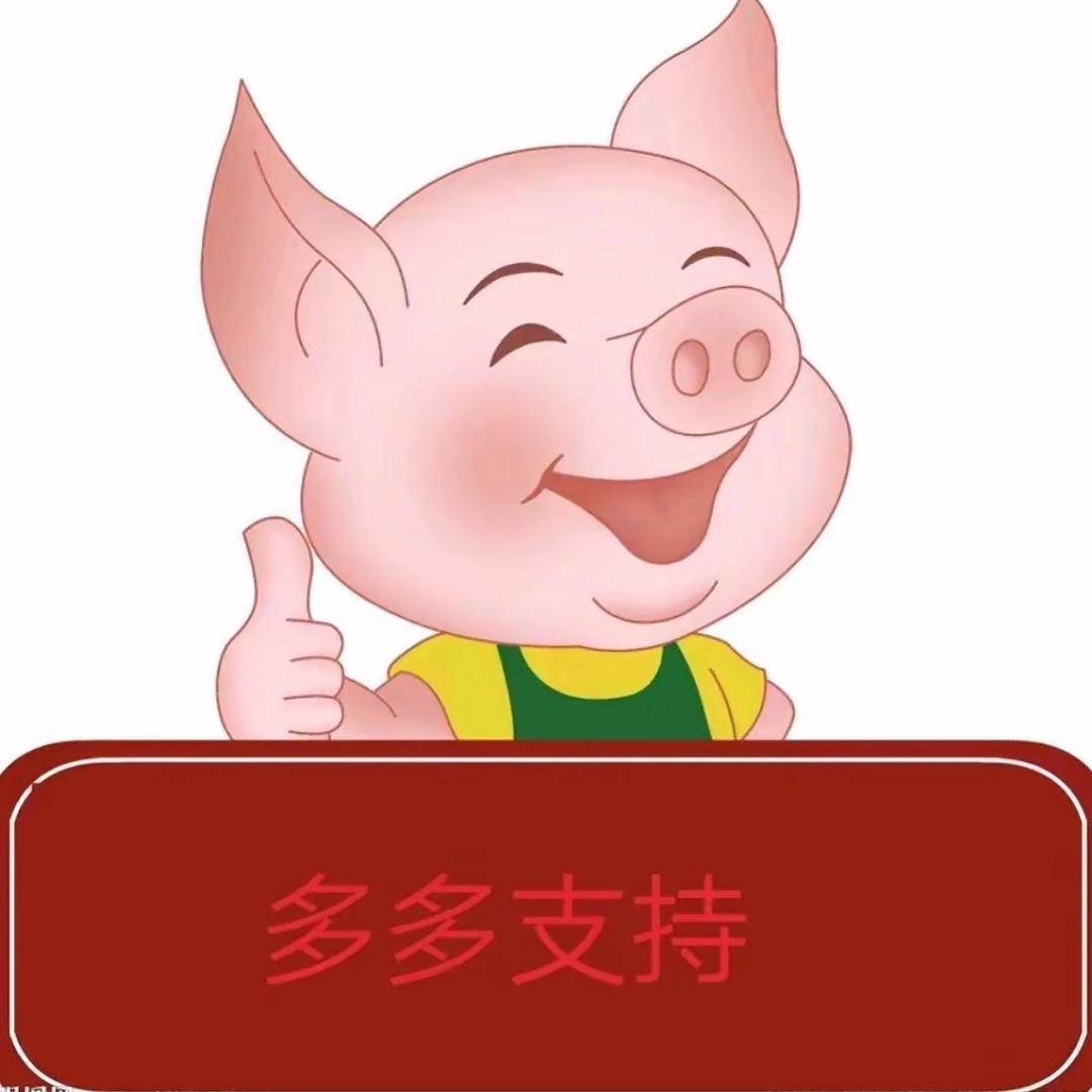 猪头肉大王小雨.