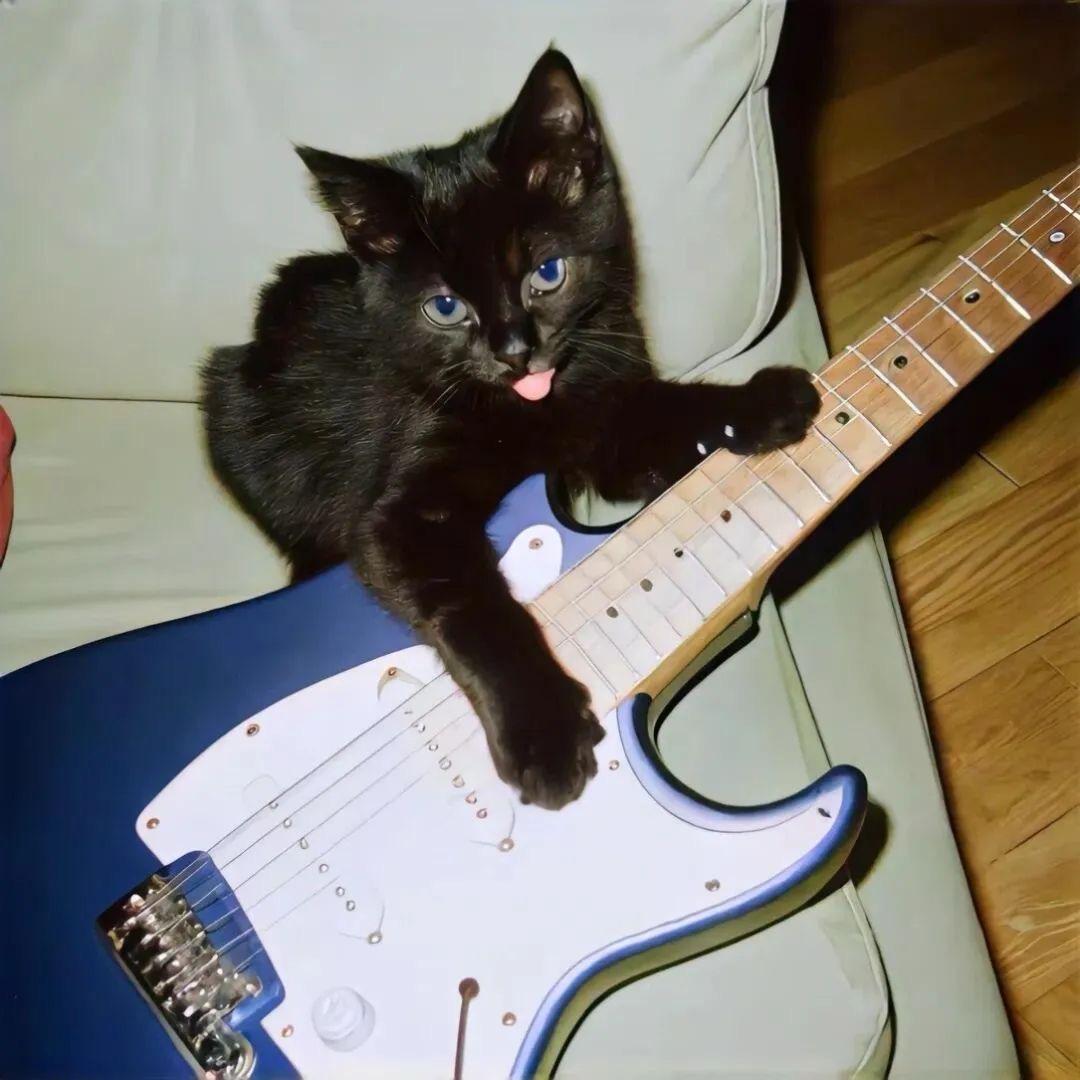 🌈发呆的螺蛳粉